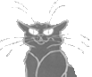 katze.gif katze.gif